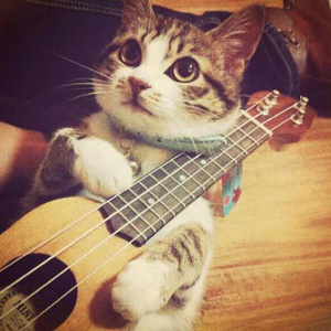 洪荒之力导航官网成人色情福利
