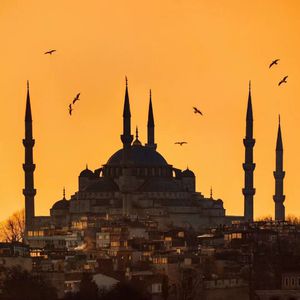 洪荒之力导航官网成人色情福利
